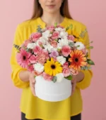 box-colores-con-modelo