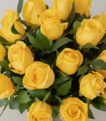 Combo amarillo - Imagen 3